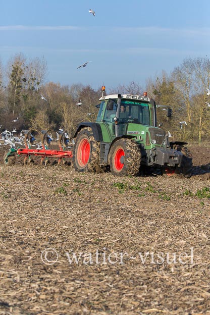 1170D184