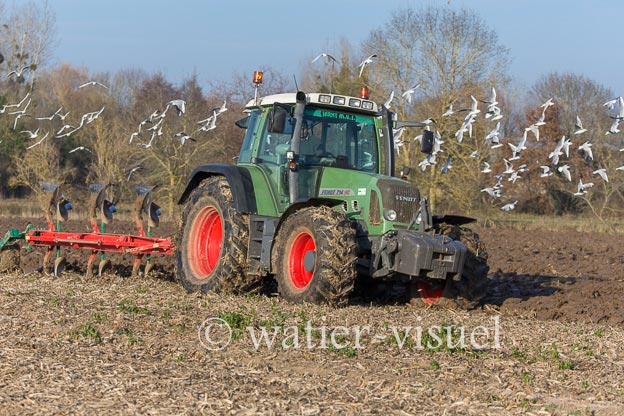 1170D185