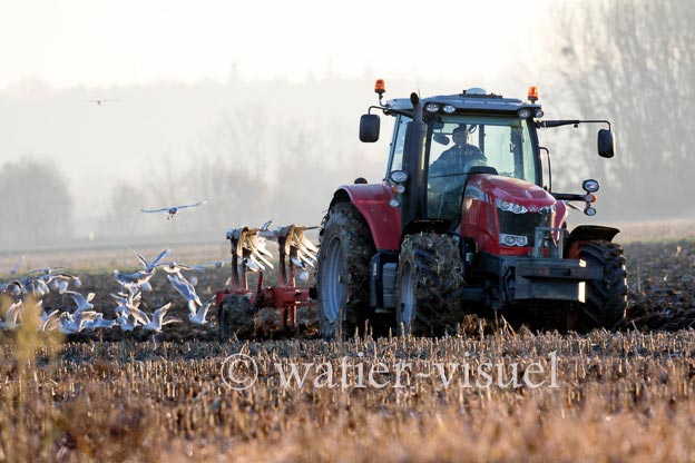 1170D211