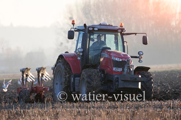 1170D212