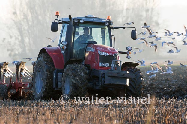 1170D213