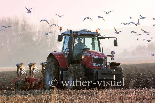 1170D216