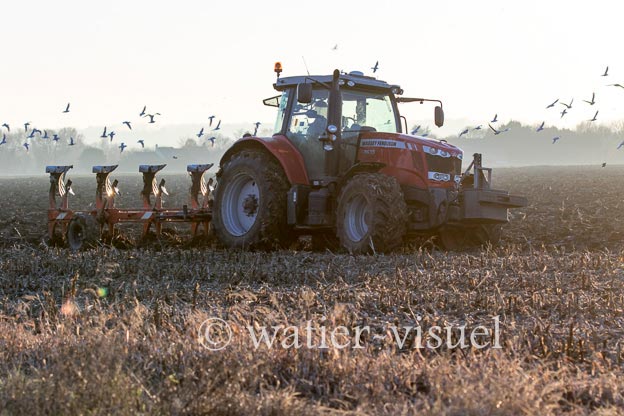 1170D221