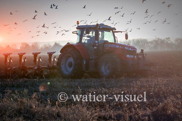 1170D222