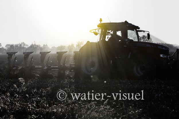1170D225