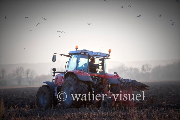 1170D228