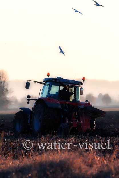 1170D230