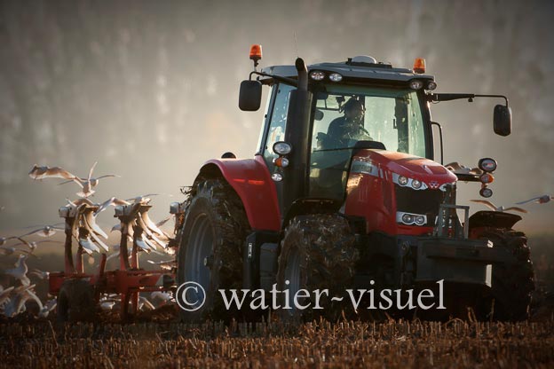 1170D252