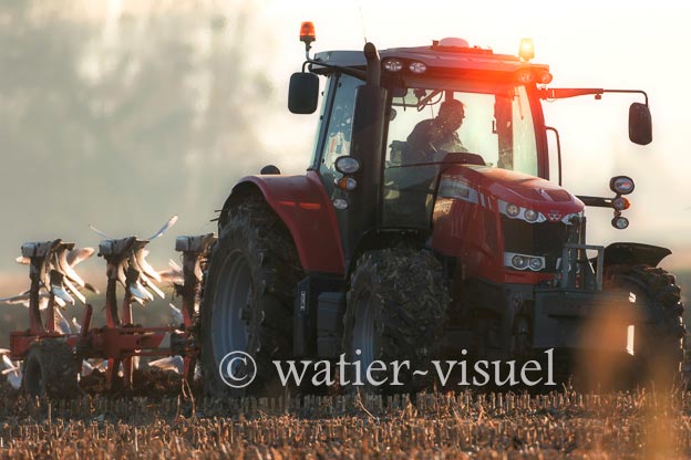 1170D253