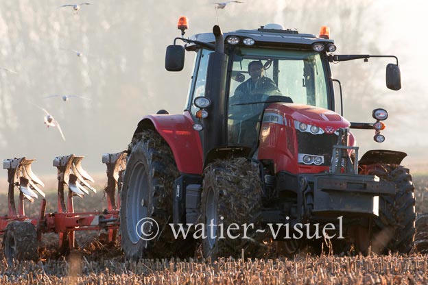 1170D270