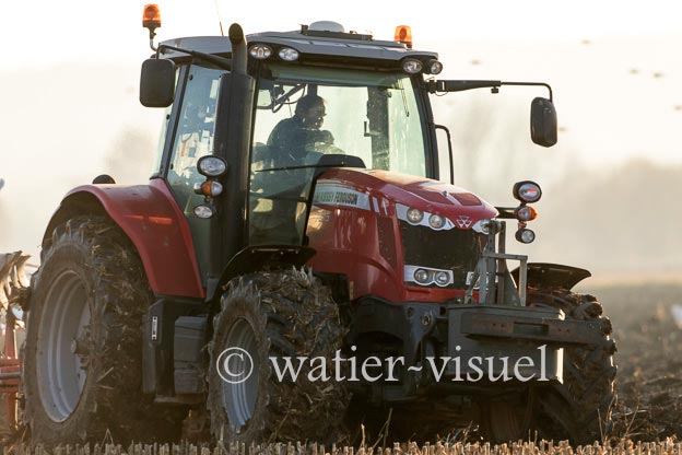 1170D272