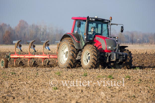 1170D290