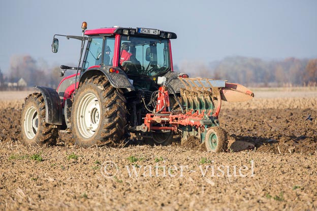 1170D293