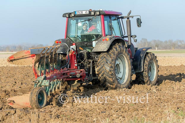 1170D304