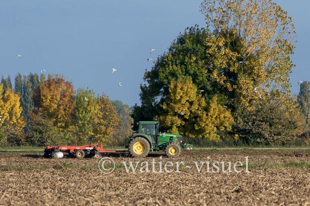 1171D014
