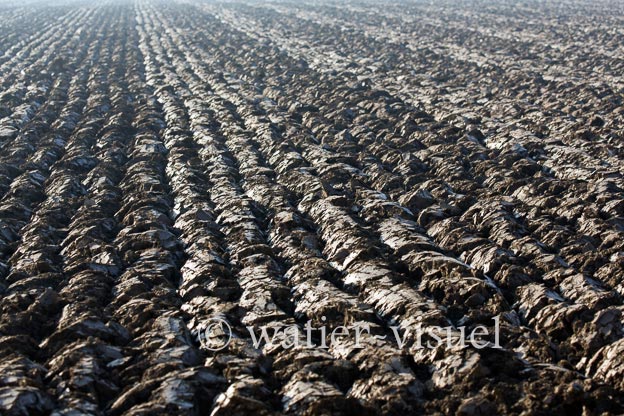 1171D240
