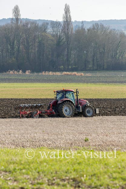 1171D550