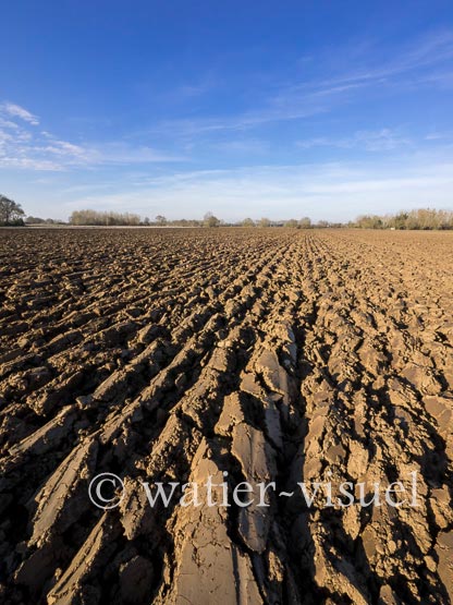 1172D548