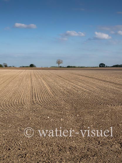 1195D449