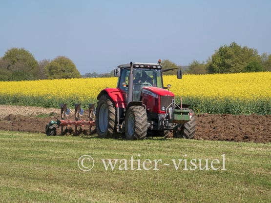 1236D450
