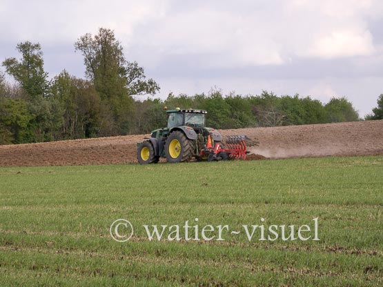 1236D590