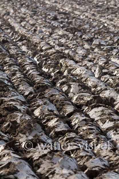 1236D993