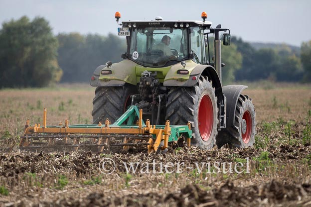 1237D303
