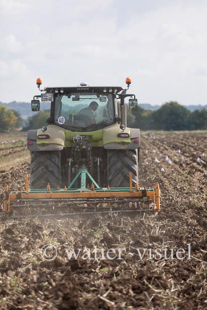1237D310
