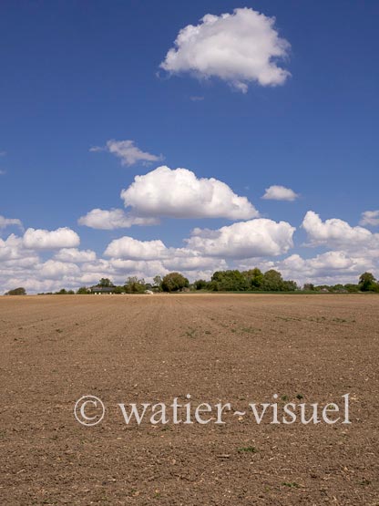 1240D350