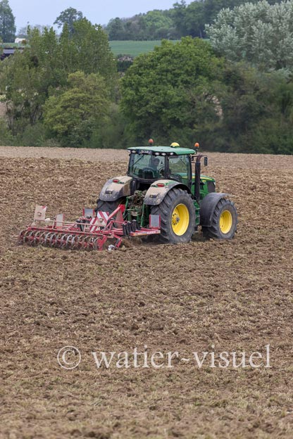 1252D450
