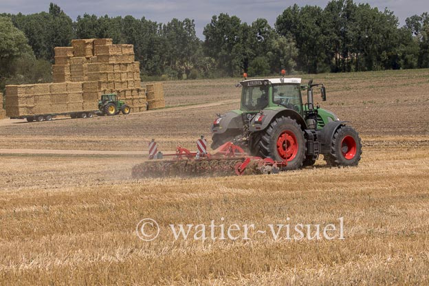 1258D520