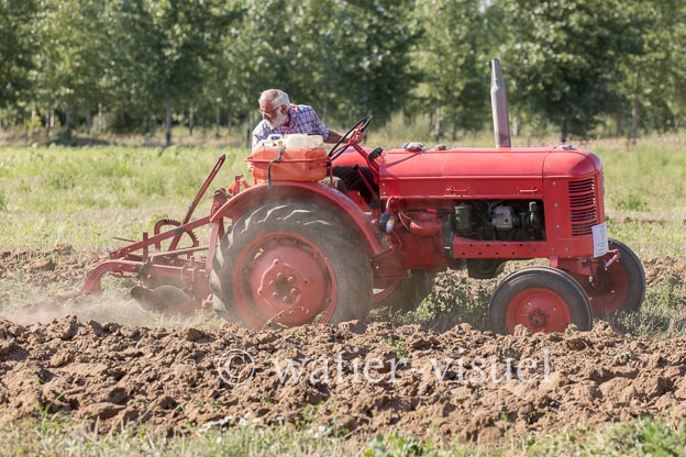 1197D109