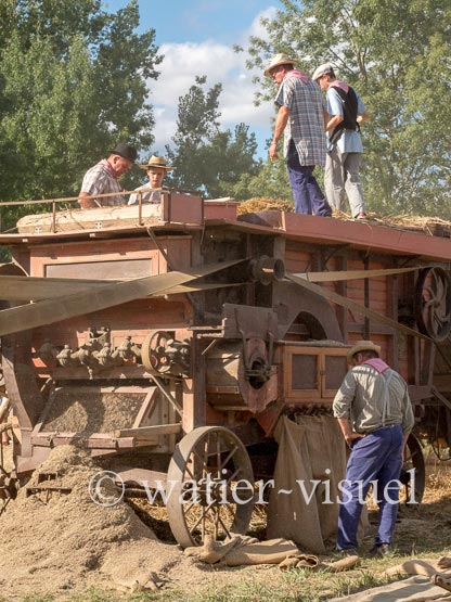 1198D438