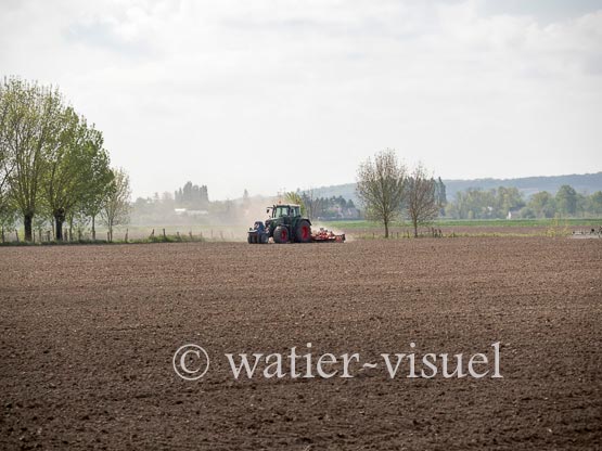 1236D204