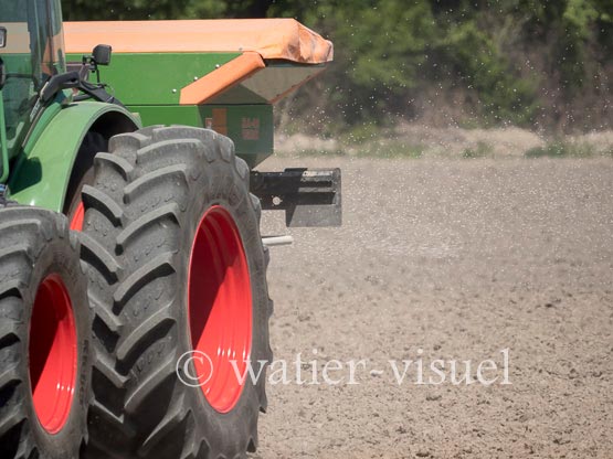 1236D250