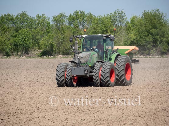 1236D251