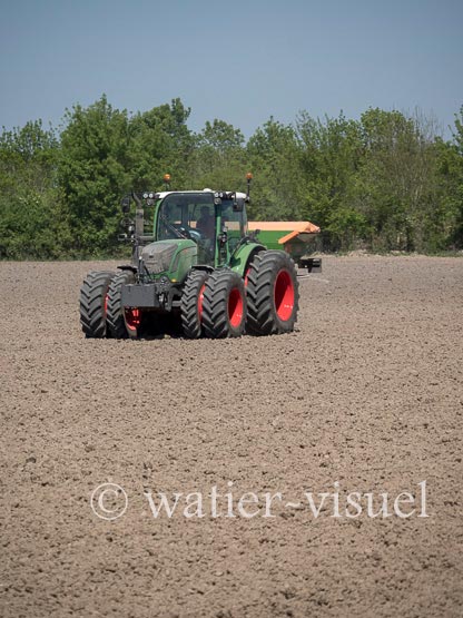 1236D260
