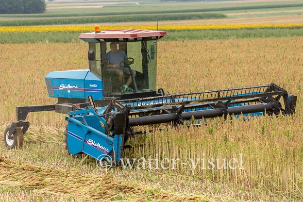 1193D225