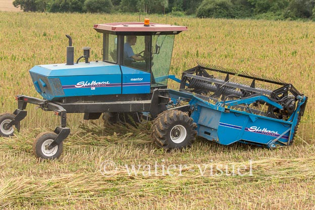 1193D230