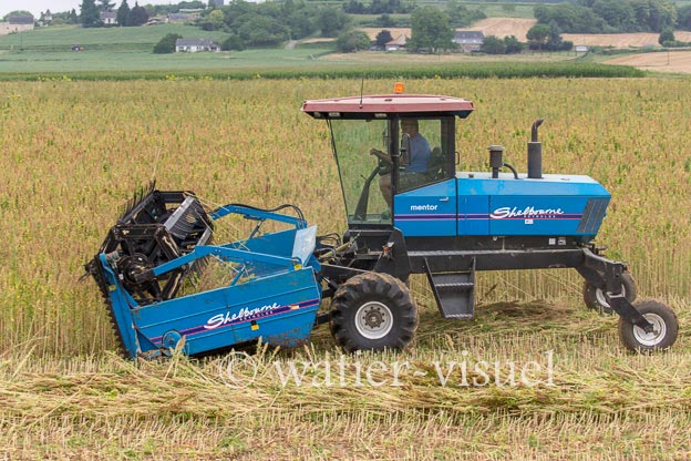 1193D240