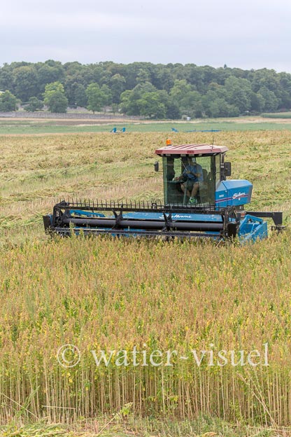 1193D250