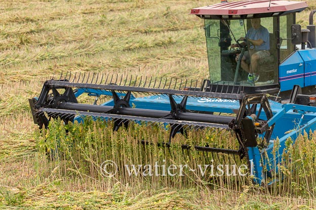 1193D252