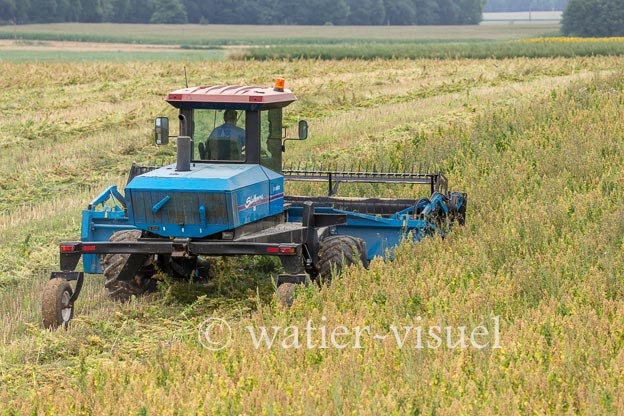 1193D254