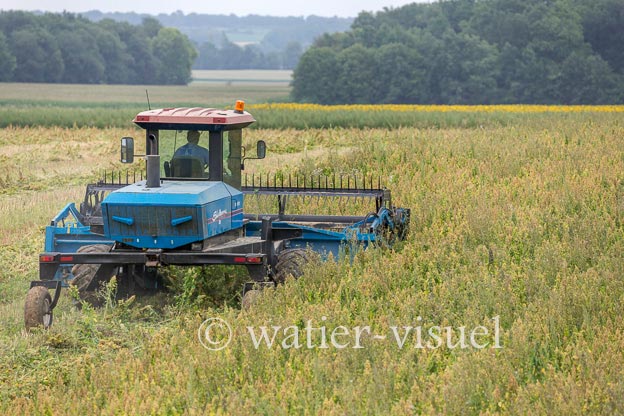 1193D255