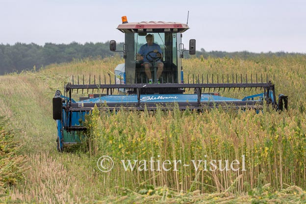 1193D270