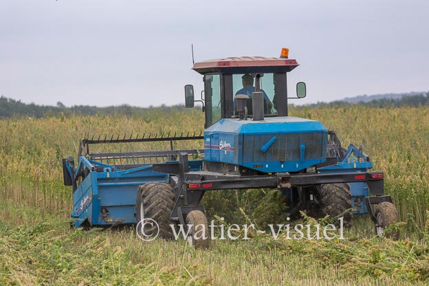 1193D271