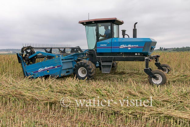 1193D295