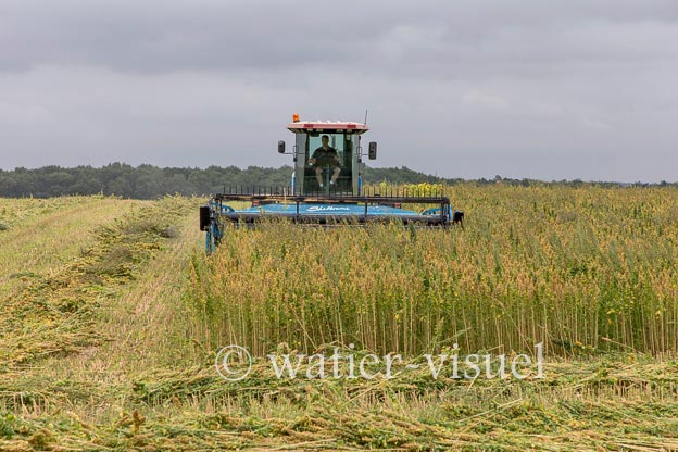 1193D298