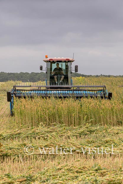 1193D299