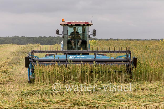 1193D300